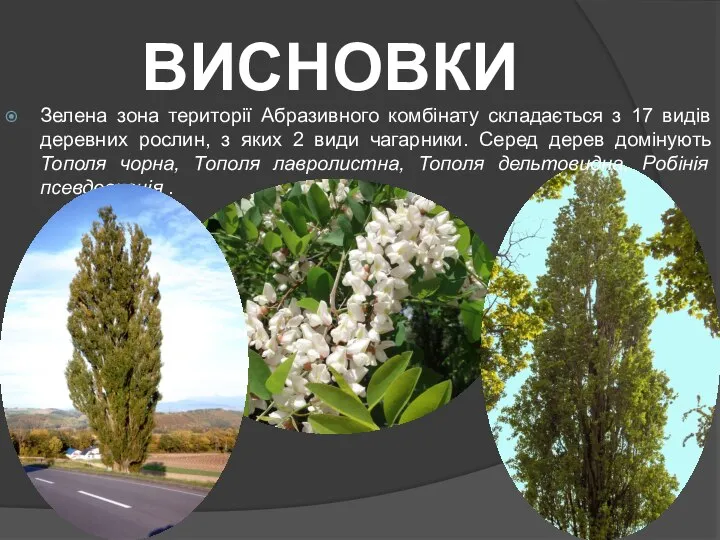 ВИСНОВКИ Зелена зона території Абразивного комбінату складається з 17 видів деревних