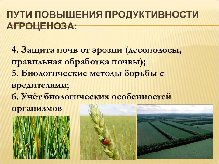 ПУТИ ПОВЫШЕНИЯ ПРОДУКТИВНОСТИ АГРОЦЕНОЗА: 4. Защита почв от эрозии (лесополосы, правильная