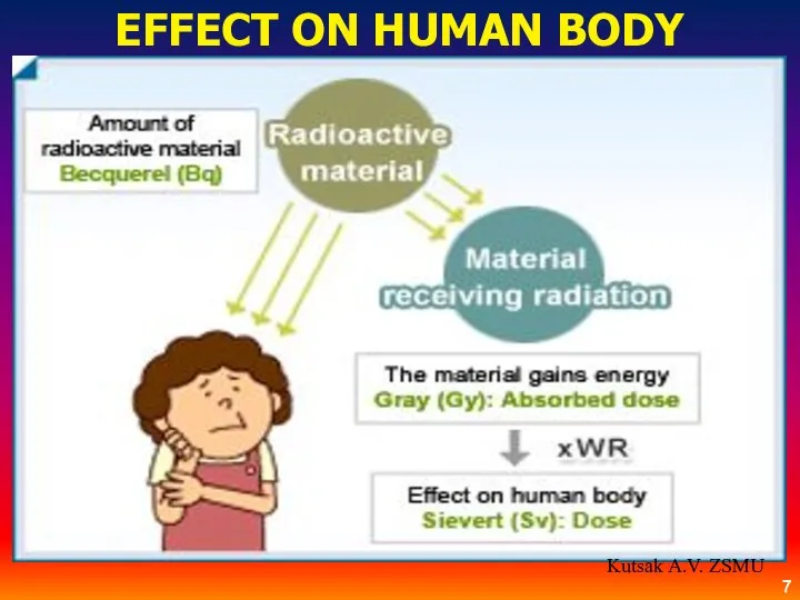 EFFECT ON HUMAN BODY Kutsak A.V. ZSMU