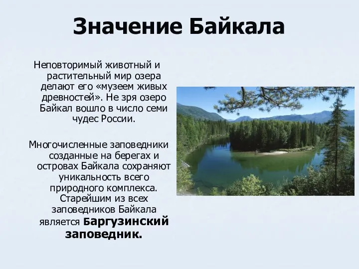 Значение Байкала Неповторимый животный и растительный мир озера делают его «музеем