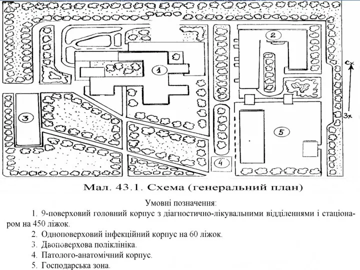 Соколовська І.А.