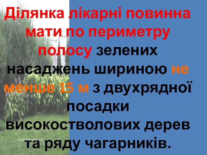 Ділянка лікарні повинна мати по периметру полосу зелених насаджень шириною не