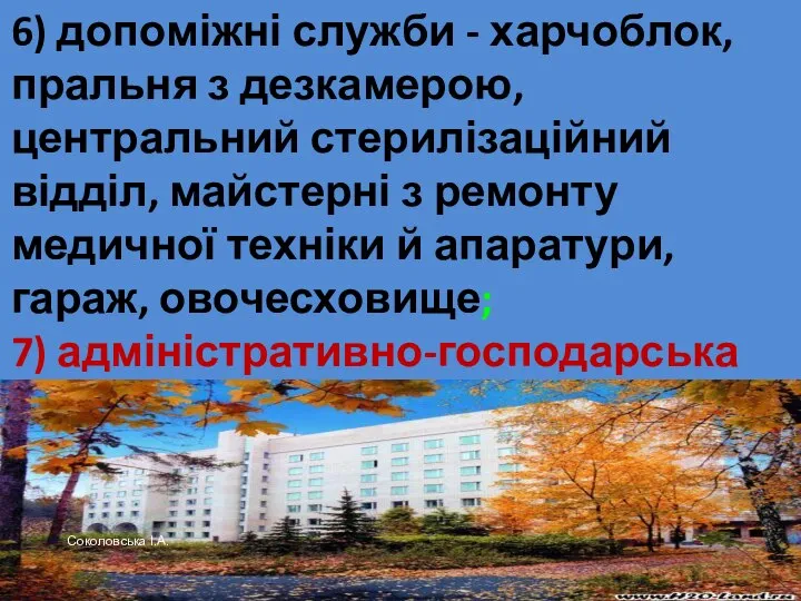 6) допоміжні служби - харчоблок, пральня з дезкамерою, центральний стерилізаційний відділ,