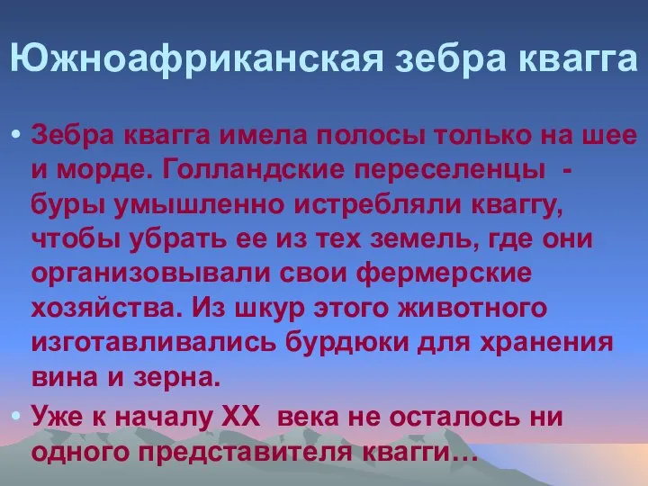 Южноафриканская зебра квагга Зебра квагга имела полосы только на шее и