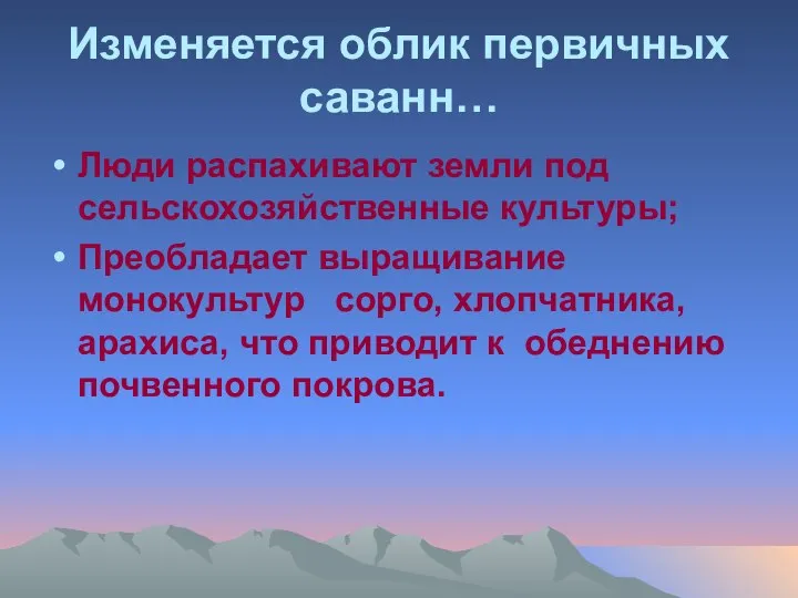 Изменяется облик первичных саванн… Люди распахивают земли под сельскохозяйственные культуры; Преобладает