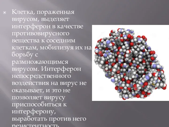 Клетка, пораженная вирусом, выделяет интерферон в качестве противовирусного вещества к соседним