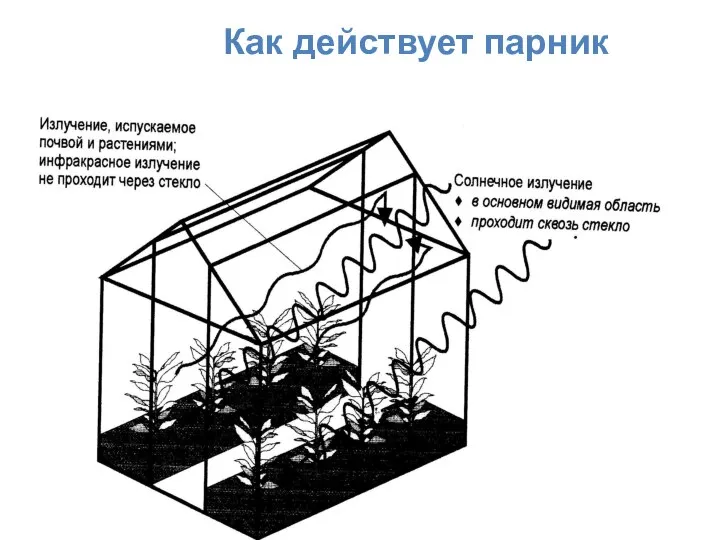 Как действует парник