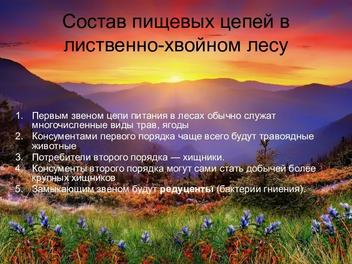 Состав пищевых цепей в лиственно-хвойном лесу Первым звеном цепи питания в