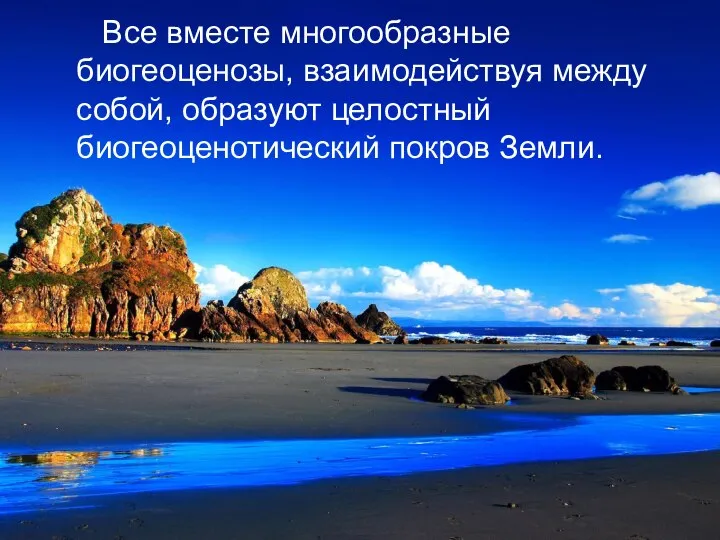 Все вместе многообразные биогеоценозы, взаимодействуя между собой, образуют целостный биогеоценотический покров Земли.