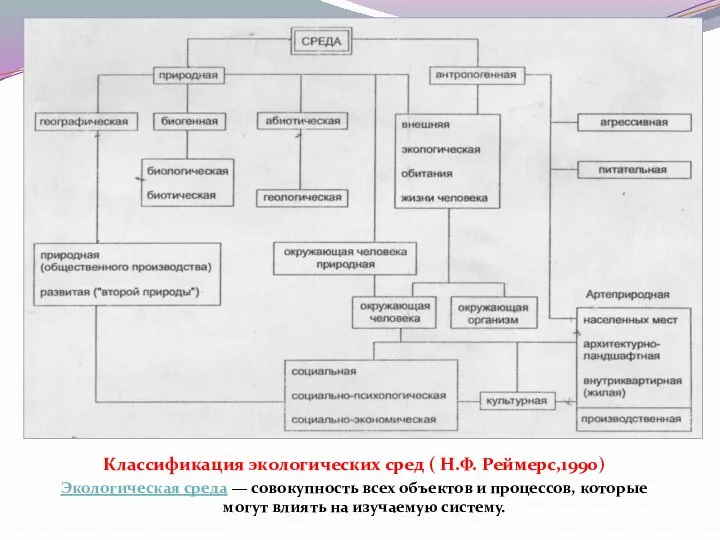 Классификация экологических сред ( Н.Ф. Реймерс,1990) Экологическая среда — совокупность всех