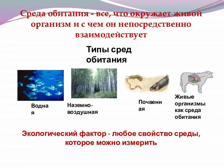 Среда обитания - все, что окружает живой организм и с чем