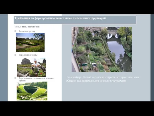 Новые типы озеленений Болотные угодья Городские огороды Вертикальное озеленение и зеленые