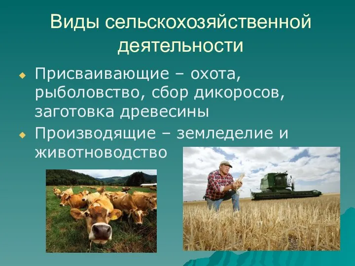 Виды сельскохозяйственной деятельности Присваивающие – охота, рыболовство, сбор дикоросов, заготовка древесины Производящие – земледелие и животноводство