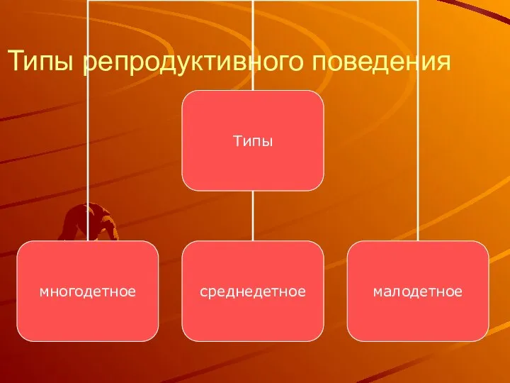 Типы репродуктивного поведения