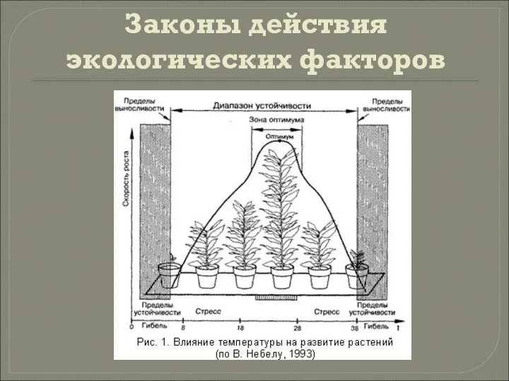 Законы действия экологических факторов