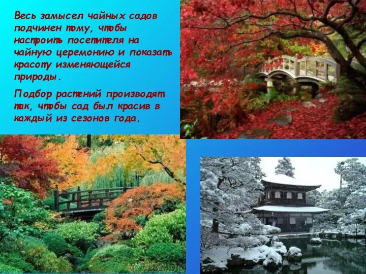 Весь замысел чайных садов подчинен тому, чтобы настроить посетителя на чайную