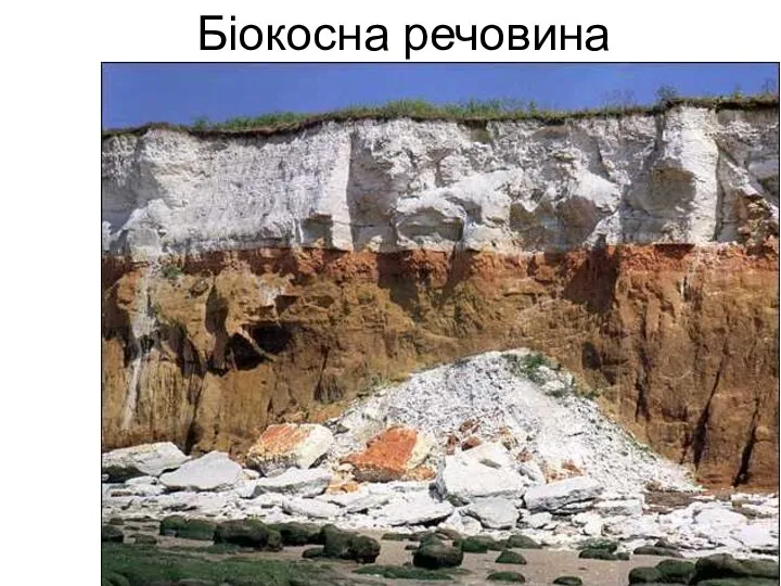 Біокосна речовина