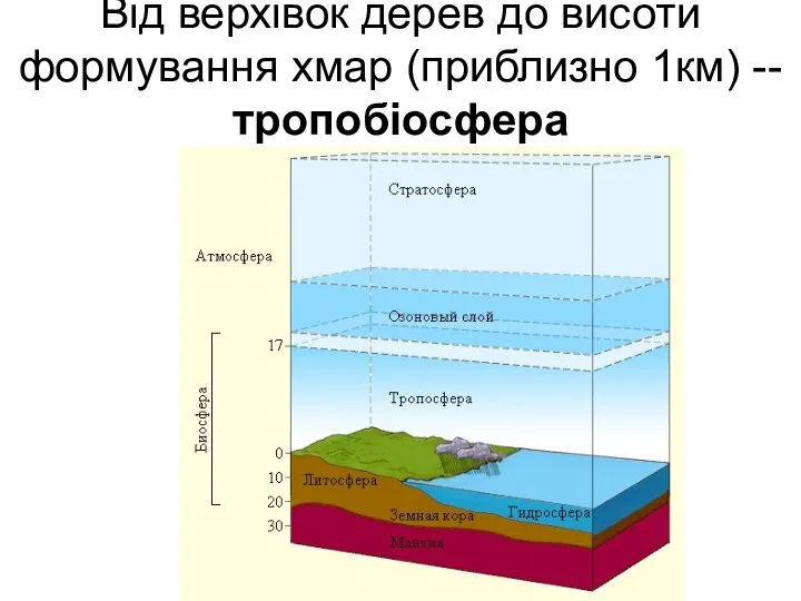 Від верхівок дерев до висоти формування хмар (приблизно 1км) -- тропобіосфера