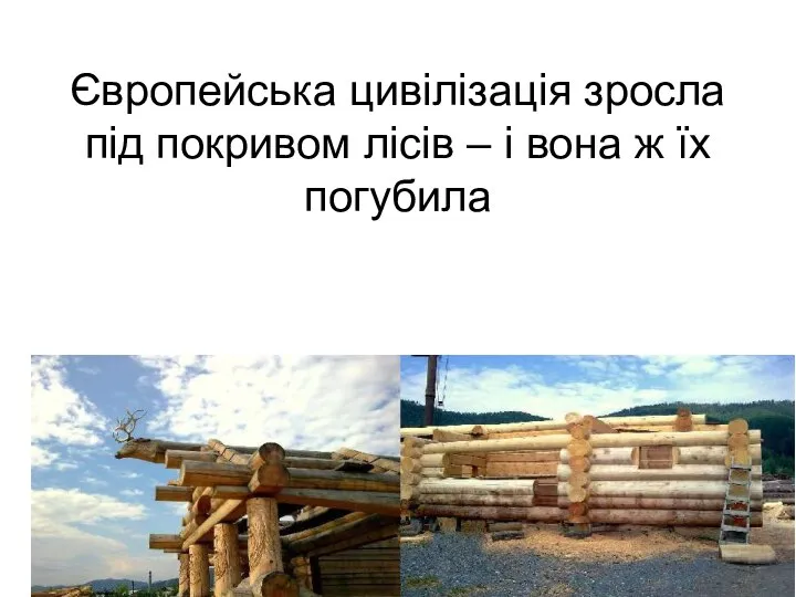 Європейська цивілізація зросла під покривом лісів – і вона ж їх погубила