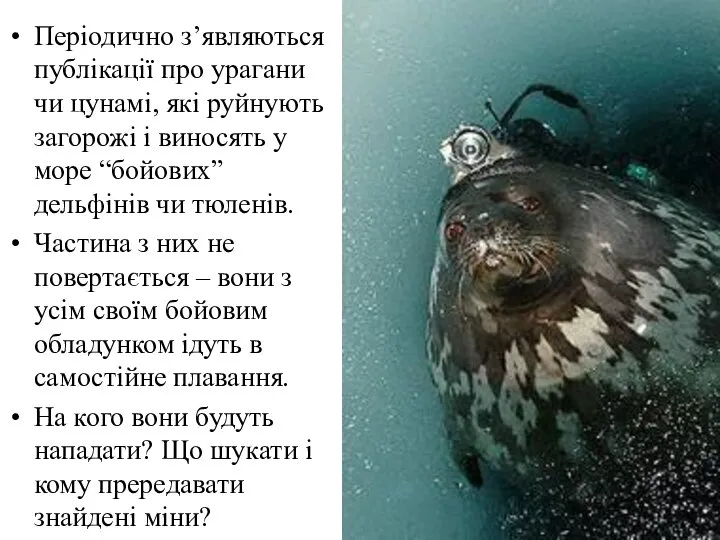 Періодично з’являються публікації про урагани чи цунамі, які руйнують загорожі і