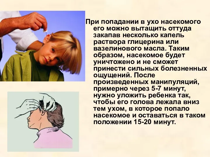 При попадании в ухо насекомого его можно вытащить оттуда закапав несколько