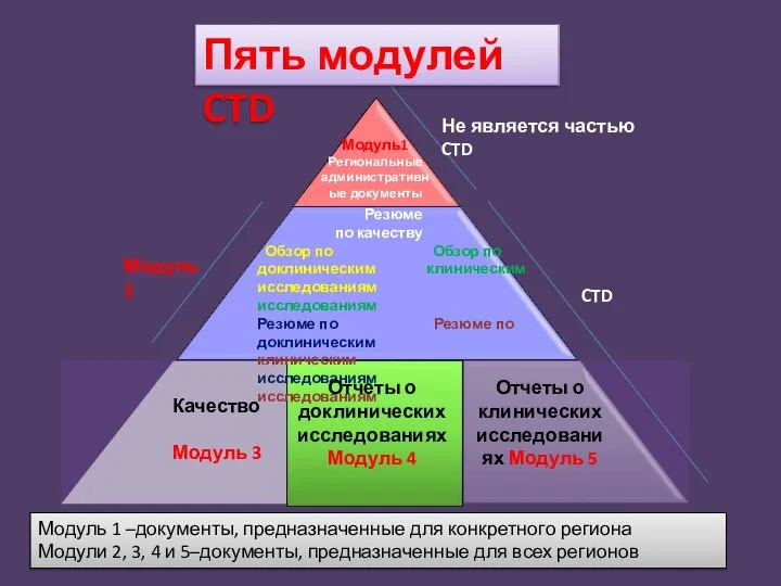 Модуль1 Региональные административные документы Резюме по качеству Обзор по Обзор по