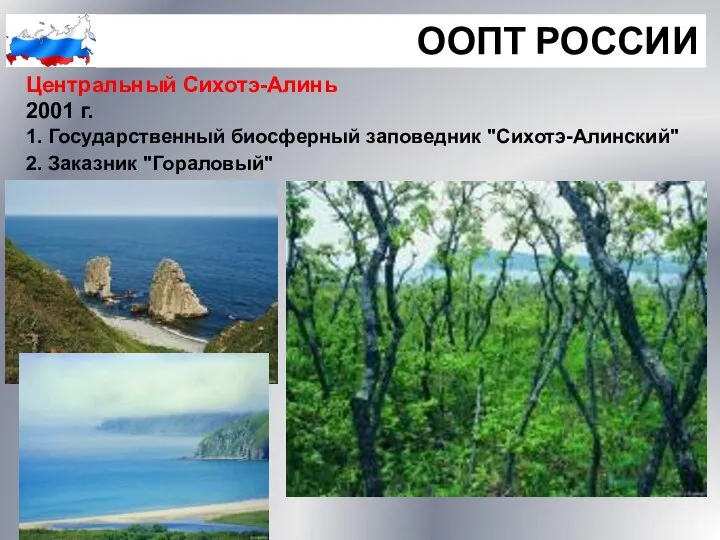 ООПТ РОССИИ Центральный Сихотэ-Алинь 2001 г. 1. Государственный биосферный заповедник "Сихотэ-Алинский" 2. Заказник "Гораловый"