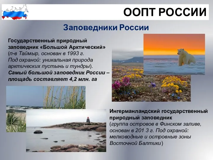 ООПТ РОССИИ Заповедники России Государственный природный заповедник «Большой Арктический» (п-в Таймыр,