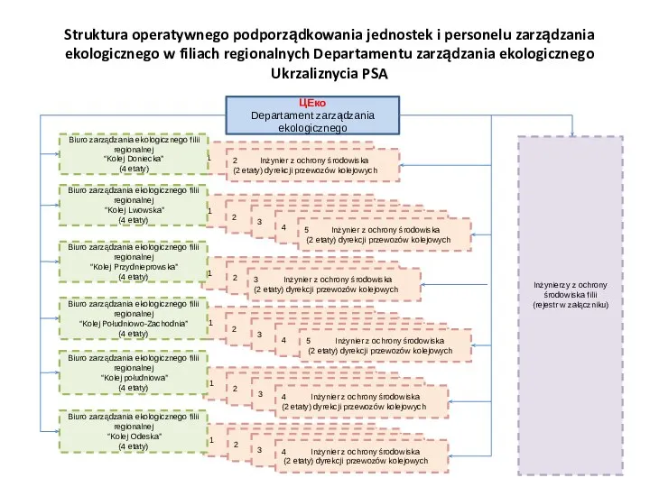 ЦЕко Departament zarządzania ekologicznego Struktura operatywnego podporządkowania jednostek i personelu zarządzania