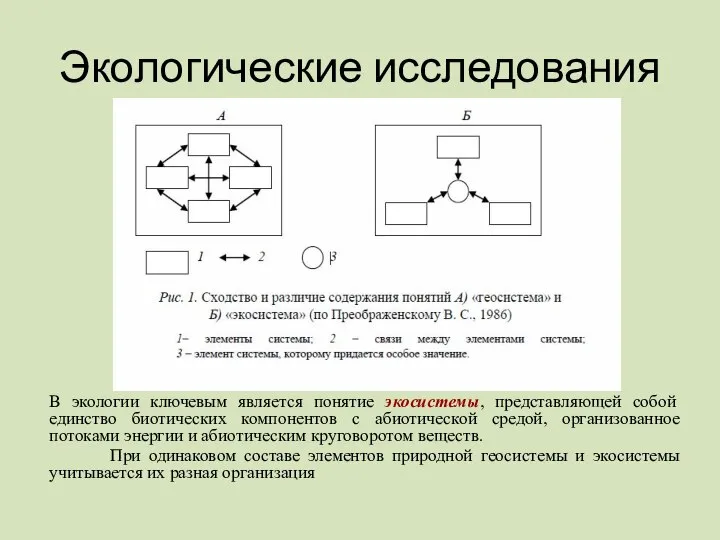 Экологические исследования В экологии ключевым является понятие экосистемы, представляющей собой единство