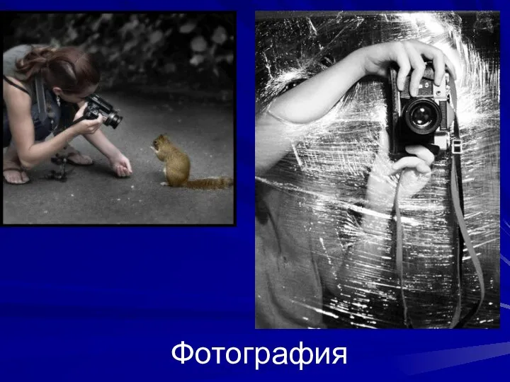 Фотография