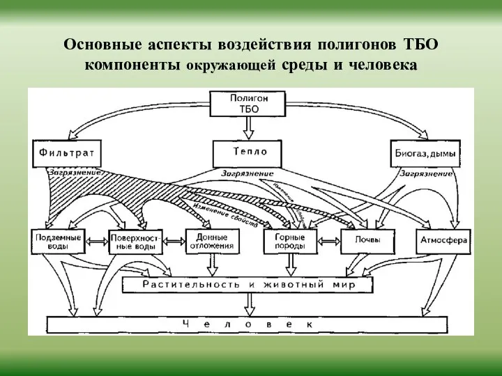 Основные аспекты воздействия полигонов ТБО компоненты окружающей среды и человека