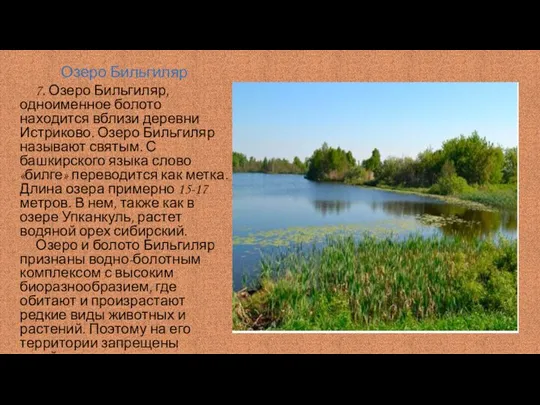 Озеро Бильгиляр 7. Озеро Бильгиляр, одноименное болото находится вблизи деревни Истриково.