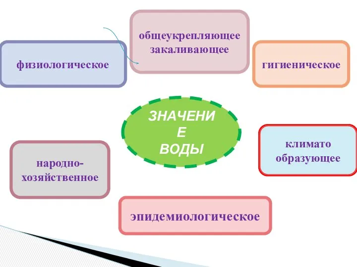 ЗНАЧЕНИЕ ВОДЫ физиологическое народно-хозяйственное гигиеническое общеукрепляющее закаливающее эпидемиологическое климато образующее