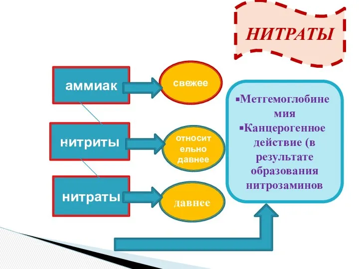 аммиак нитриты нитраты относительно давнее давнее свежее Метгемоглобинемия Канцерогенное действие (в результате образования нитрозаминов НИТРАТЫ