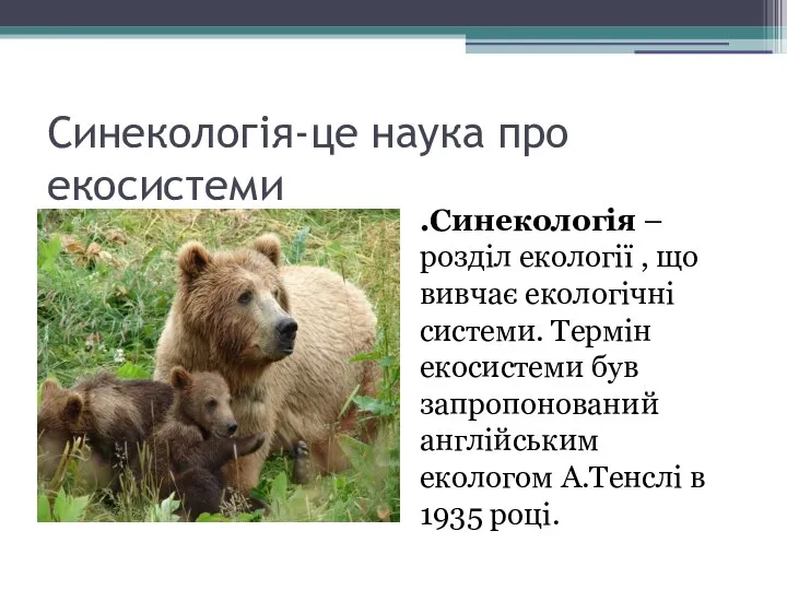 Синекологія-це наука про екосистеми .Синекологія – розділ екології , що вивчає