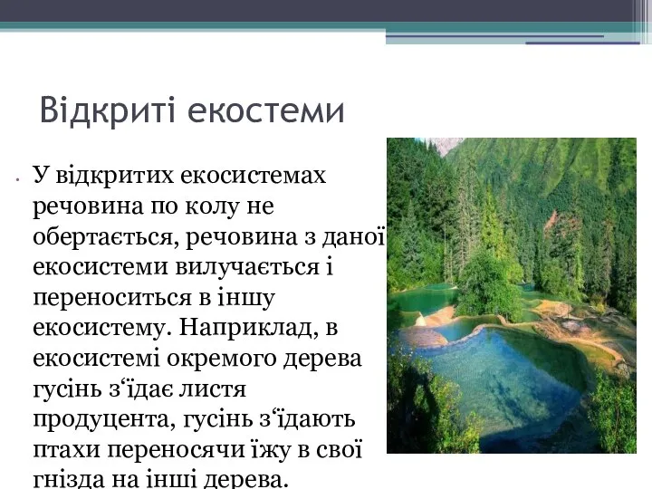 Відкриті екостеми У відкритих екосистемах речовина по колу не обертається, речовина