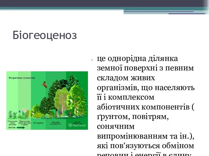 Біогеоценоз це однорідна ділянка земної поверхні з певним складом живих організмів,