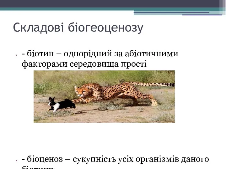 Складові біогеоценозу - біотип – однорідний за абіотичними факторами середовища прості