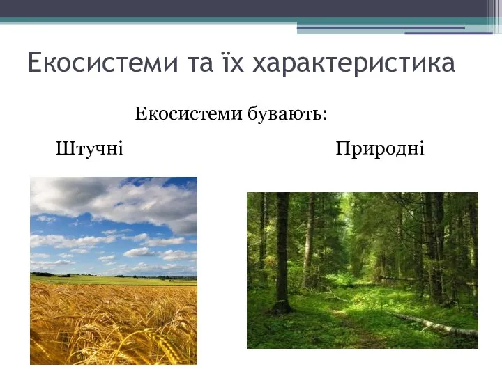 Екосистеми та їх характеристика Екосистеми бувають: Штучні Природні