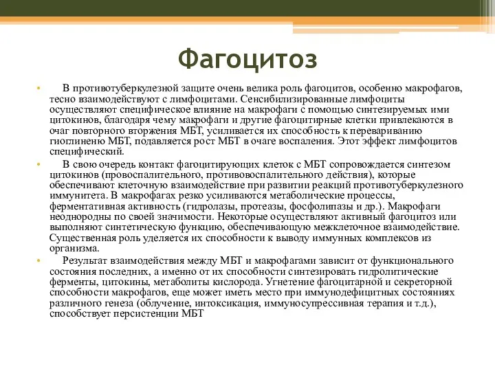 Фагоцитоз В противотуберкулезной защите очень велика роль фагоцитов, особенно макрофагов, тесно