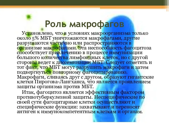 Роль макрофагов Установлено, что в условиях макроорганизма только около 5% МБТ