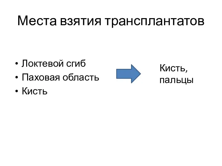 Места взятия трансплантатов Локтевой сгиб Паховая область Кисть Кисть, пальцы