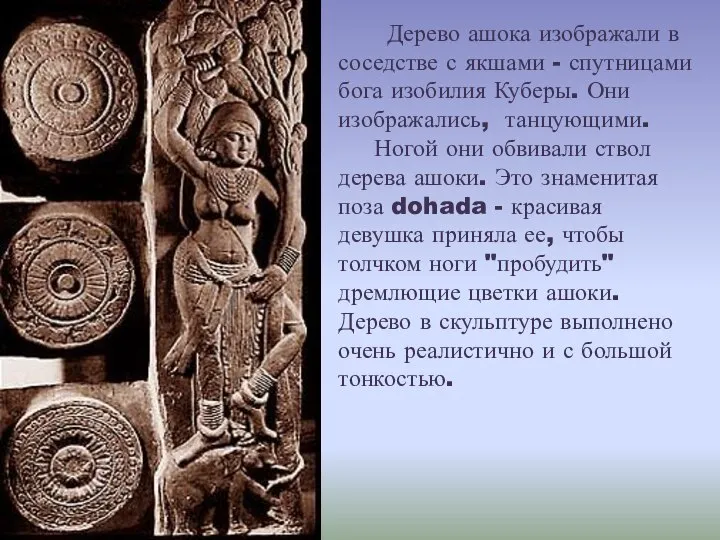 Дерево ашока изображали в соседстве с якшами - спутницами бога изобилия