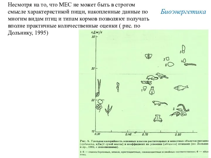 Несмотря на то, что MEC не может быть в строгом смысле