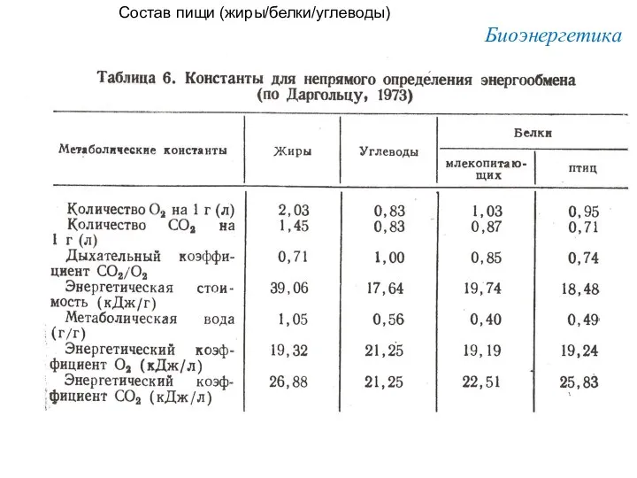 Состав пищи (жиры/белки/углеводы) Биоэнергетика