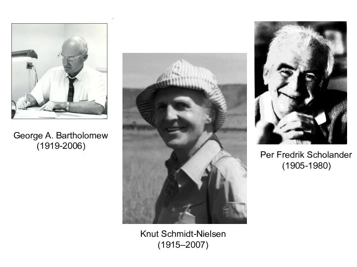 George A. Bartholomew (1919-2006) Knut Schmidt-Nielsen (1915–2007) Per Fredrik Scholander (1905-1980)