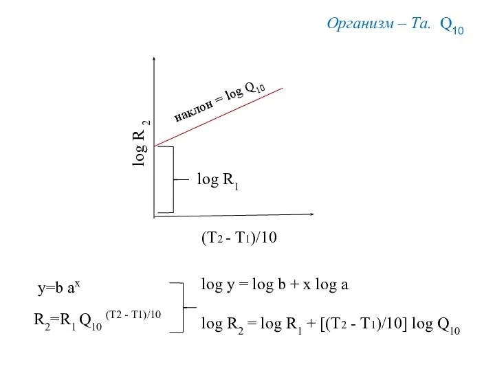 (Т2 - Т1)/10 log R 2 Организм – Та. Q10 y=b