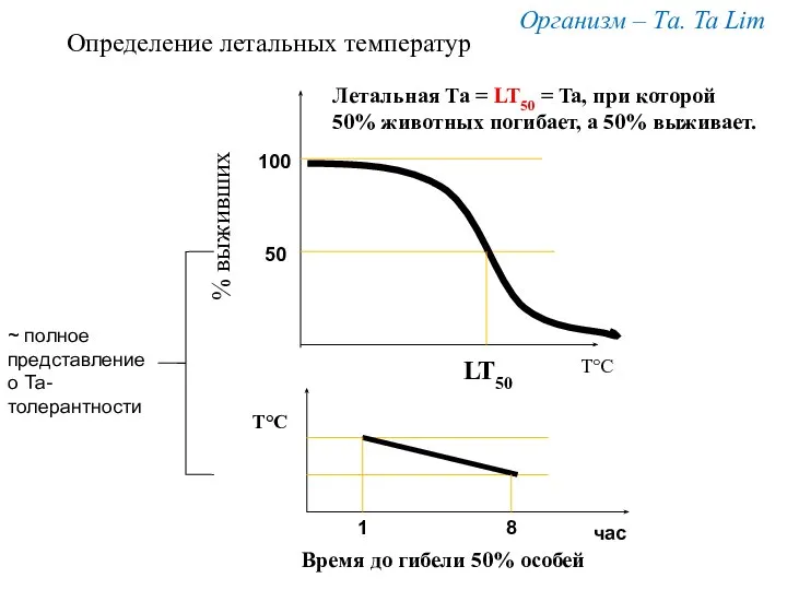 Т°С % выживших Организм – Та. Ta Lim LT50 100 50