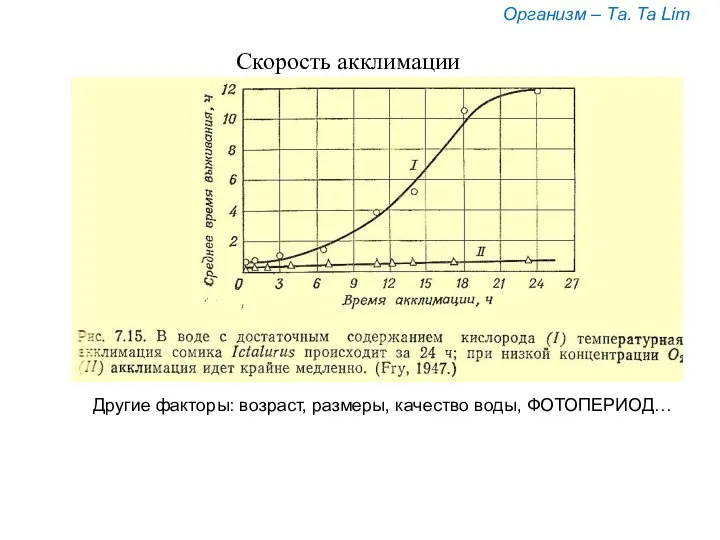 Скорость акклимации Организм – Та. Ta Lim Другие факторы: возраст, размеры, качество воды, ФОТОПЕРИОД…